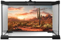 Desert Reptile Habitat Backdrop Sunset Desert Landscape Saguaro Cactus Gobi Plants Terrarium Background Sunset Sky Rugge