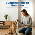 Taurine Supplement for Dogs Drops, Daily Amino Acid Liquid Drops for Heart Function, Muscle Support, Energy Balance & Physical Stability, 60 ml