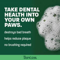 TropiClean Fresh Breath Dental Foam Spray for Dogs & Cats | Quick Breath Freshener and Teeth Cleaning Solution | Made in The USA | 4.5oz.