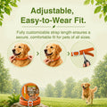 EcoVenger Flea Collars for Dogs & Cats - Flea & Tick Repellent 2-Pack Orange. Built-in Pant-Based Formula Strong Repelle