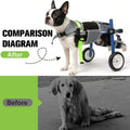 Lightweight and Adjustable Dog Wheelchair for Back Legs XXS