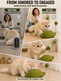 Interactive Cat Self Groomer: 3 Ways for Cats to Play While You Stay Busy