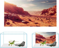 COMSUN 3 Pack Terrarium Background, 36x18 inch Polyester Reptile Background