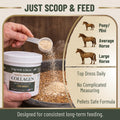 Eggshell Membrane Collagen for Horses - Joint Support 5.5 oz