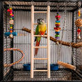 3 Pcs Bird Ladder, Wooden Bird Cage Ladder Bird-Ladder for Cage Climbing Ladders for Parakeets Parrots Cockatoo(4, 6, 8 