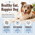 Natural Dog Company Probiotics for Dogs – Dog Probiotic Chews with 1B CFUs, Canine-Specific Microencapsulated Strains, Prebiotics & Enzymes for Digestive Health, Stool & Immune Support, 45 Ct