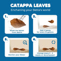 SunGrow 10 Indian Almond (Catappa) Leaves 4″-7″ for Betta Fish – Natural Aquarium Water Conditioner, Adds Tannins, Lower