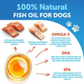 Fish Oil for Dogs - 16 OZ - Salmon Oil for Dogs - Liquid Omega 3, EPA & DHA
