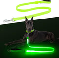 5Ft LED Dog Leash, Light Up Dog Leash USB Rechargeable Waterproof, Nylon Reflective Leashes with Padded Handle for Dogs 