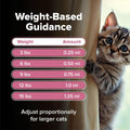 No More Tapeworms in Cats and Kittens- Dewormer for Cats and Dewormer for Kittens - 60mls Chicken Flavour with 3ml Dropper-USA Made Oral Suspension