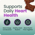 VetriScience Extra Strength Healthy Heart Chews for Dogs, Chicken, 60 Count