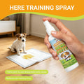 Norce Sactor Potty Training Spray for Dogs, Dog Pee Spray for Indoor & Outdoor Use | Not Spray & Spray | Supports Potty Training & Helps Deter Marking | Gentle Formula | 6.8 fl oz