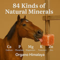 Himalayan Salt Lick On Rope 3.5-4 lb Each (Pack of 3) for Horses, Deer, Goats & Livestock | Natural, Mineral-Rich, Long-
