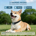 Shock Collar for Dogs, Dog Training Collar with Remote,3 Training Modes