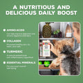 Brutus Chicken Broth Liquid for Dogs - All Natural Chicken Bone Broth for Dogs with Chondroitin Glucosamine Turmeric -Human Grade Dog Food Toppers for Picky Eaters & Dry Food -Tasty & Nutritious