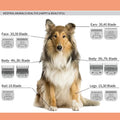 10# Dog Grooming Ceramic Blades,Compatible with Andis,Oster A5,Wahl KM10