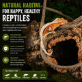 8-Foot Reptile Vines, Flexible Jungle Climber Habitat Decor
