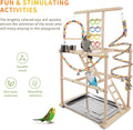 HPAWHOMEPART Bird Playground, Parrots Playstand for Small to Medium Birds, Perch Stand with 3 Ladders Playgym with Rope Perch, Swings Feeder Cups Bird Cage Accessories for Conure Cockatiel Lovebirds