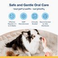 ProDen PlaqueOff Scoopables - Hickory Smoked Bacon Flavor Dental Bites for Small Dogs, Natural Kelp for Plaque & Tartar Control, Freshens Breath - Small & Medium Breed Dental Care- 45 Scoops
