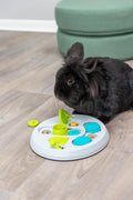 TRIXIE Hide N Slide Rabbit Activity - Small Animal Interactive Toy for Mental Stimulation, Enrichment, Hide and Seek, Br