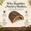 MAC'S Reptile Hideout Half Log, Extra Large - Natural Wooden Hide for Reptiles, Amphibians & Small Animals - Made in USA
