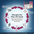 Cat Dewormer Topical Flea & Tick for Cats & Kittens, Monthly for Cats Over 1.5 lbs & 8 Weeks or Older, 6 Doses Supply Fa