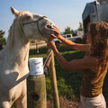 EQUIDERMA Zinc Oxide Paste for Horses, Ointment for Horse Skin Conditions, 16 Oz.