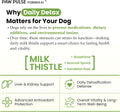 Pawpulse Formula Liver Support for Dogs – Milk Thistle & Silymarin Powder – Daily Detox, Kidney Wellness & Antioxidant Defense, 2.12 oz