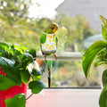 4 Pcs Bird Diaper, Parrot Diaper, Reusable Bird Clothes with Adjustable Straps & Waterproof Inner, Pet Bird Diapers for 