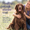 Pure Omega 3 Fish Oil for Dogs, Wild Caught from Iceland, Skin and Coat Supplement for Shedding, Dry Itchy Skin and Allergies, Rich in EPA + DHA with Omega 3, 6
