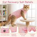 Hpetppy 2 Pack Cat Recovery Suit Female for After Surgery Kitten Onesie