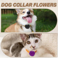 Dog Collar Flowers Pet Flower Charms