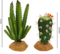 Reptile Plants Succulent, Artificial Desert Rain Forests Plants, Set 2