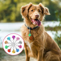 COMNICO 10 pcs Pet Bells for Dog Cat Collar, Metal Round Collar Charms Loud Crisp Sound with Clasps, Kitten Small Animal Pendant Accessories, Christmas Decoration Jingle Bell(Colourful)