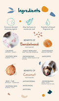 Pure + Good Dog & Cat Conditioner - Moisturizing Pet Conditioner, Made in The USA, Cruelty Free, 16 fl oz