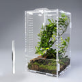 Acrylic Jumping Spider Enclosure: Arboreal Tarantula Enclosure