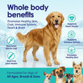 Wild Omega 3 Fish Oil for Dogs - Dog Fish Oil Liquid to Reduce Shedding & Itching - Supports Joints, Brain, and Heart He