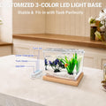 MoonOrange Mini Betta Fish Tank Kit with LED Light Base, 0.2 Gallon Temporary Holding Tank with Artificial Plants (Kit-2