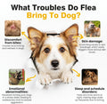 Flea and Tick Chewables for Dogs - 200 Ct - Flea and Tick Chews Supplement
