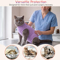 Hpetppy 2 Pack Cat Recovery Suit Female for After Surgery Kitten Onesie