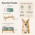 Havniva 6.1inch Ceramic Raised Dog Bowl with Stand, Double Dog Bowls Elevated for Small and Medium Breed Dog Food and Water Bowl Set Non-Slip Dog Dish Large Capacity Feeding Pet Water Bowl