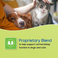 Virbac NEPHRODYL® Synbiotic Capsules - Kidney Support Supplement for Cats & Dogs, Probiotics & Prebiotics for Digestive Health, Small & Easy-to-Swallow Capsules, Made in The USA
