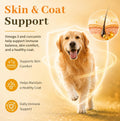 Turmeric Curcumin for Senior Dogs & Cats, Canine Joint & Mobility Support