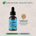 Animal Essentials Slippery Elm - Slippery Elm Bark Anti Diarrhea Drops for Dogs and Cats, Organic Herbal Extract for Healthy Gut, Digestive & Throat Support, Helps Acid Reflux, Liquid Formula- 1 fl oz