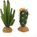 Reptile Plants Succulent, Artificial Desert Rain Forests Plants, Set 2