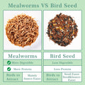 WORMSKING 2LB Dried Mealworms for Poultry, Wild Birds,Tasty Bird Food，Great Bird Watching Gift