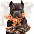 ChienBox DinoBone Dog Toys for Aggressive Chewers, 2 Pack Tough Nylon Dinosaur Chew Toys for Large Dogs 20–90 lbs, Helps Reduce Destructive Chewing, Keeps Dogs Busy, Bacon Flavored