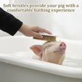 2 PCS Pig Toy, Pig Self-Grooming Scratch Brush with Hanging Hole for Barns