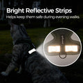 pangdi Cat Harness and Leash Escape Proof Extra Large Kitten Harness Maine Coon Cat Vest for Walking Travel, Dark Green, XL