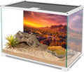 36x18 in Desert Mountain Terrarium Backdrop Oasis Reptile Habitat Backdrop